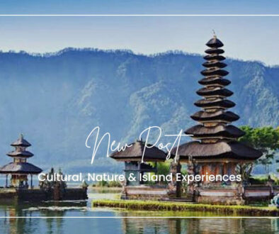 Best Bali Tours - haigili(1)
