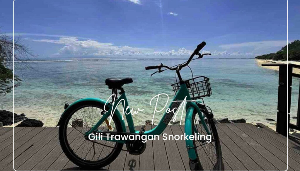 Bike & Scooter Rental in Gili Trawangan(1)