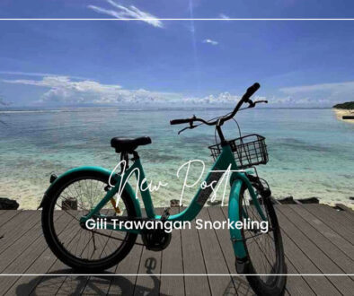 Bike & Scooter Rental in Gili Trawangan(1)