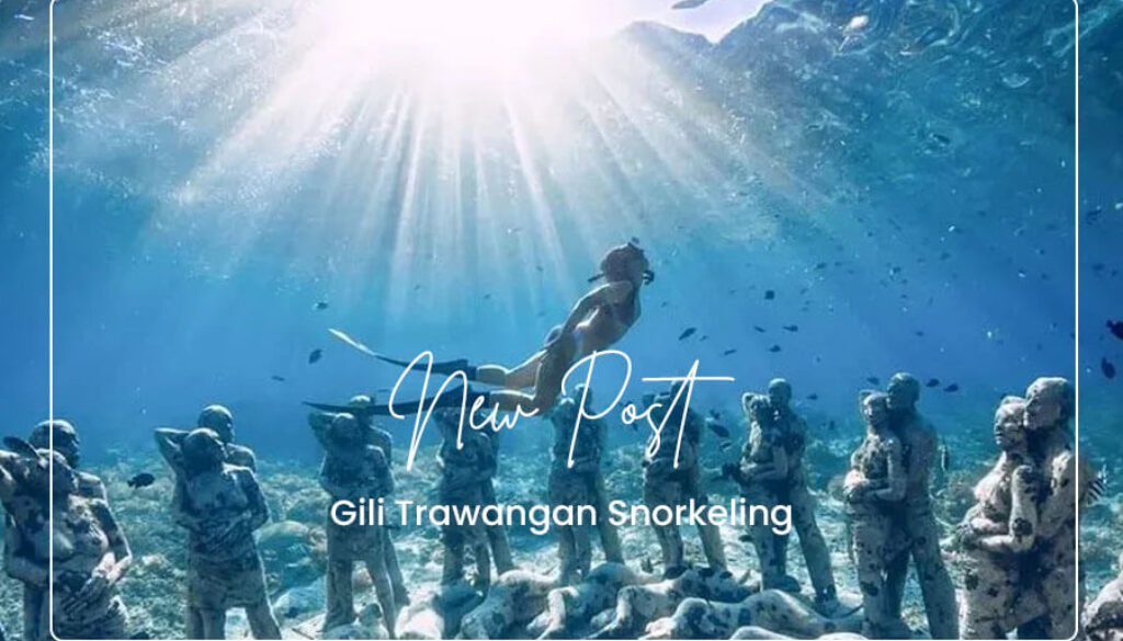Gili Trawangan Snorkeling(1)