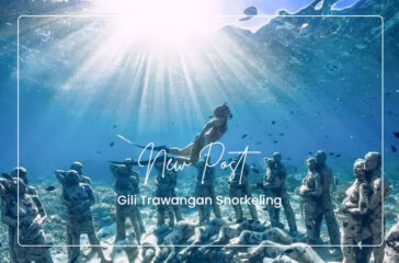 Gili Trawangan Snorkeling(1)