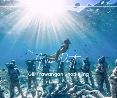 Gili Trawangan Snorkeling(1)