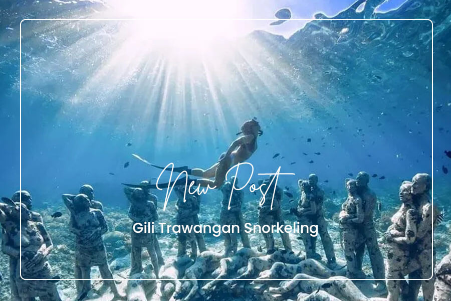 Gili Trawangan Snorkeling(1)